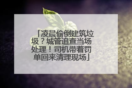 凌晨偷倒建筑垃圾？城管追查当场处理！司机带着罚单回来清理现场