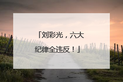 刘彩光，六大纪律全违反！