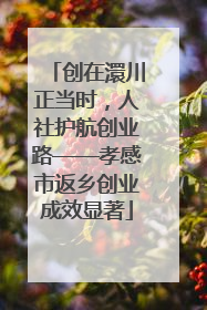 创在澴川正当时，人社护航创业路——孝感市返乡创业成效显著
