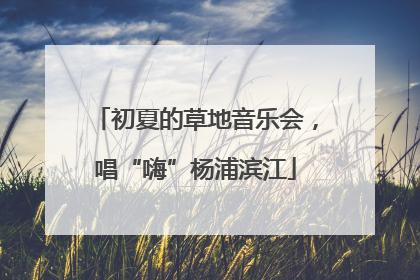 初夏的草地音乐会，唱“嗨”杨浦滨江