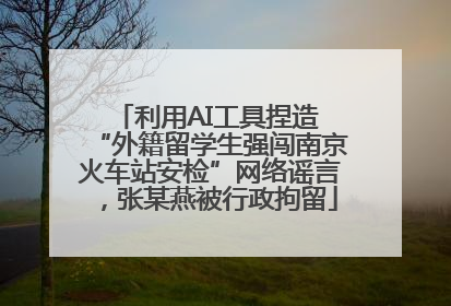 利用AI工具捏造 “外籍留学生强闯南京火车站安检”网络谣言，张某燕被行政拘留