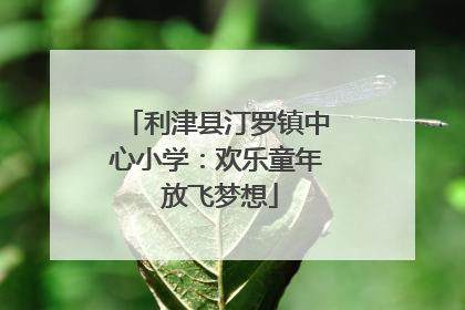 利津县汀罗镇中心小学：欢乐童年 放飞梦想