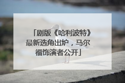 剧版《哈利波特》最新选角出炉，马尔福饰演者公开