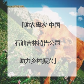 助农惠农 中国石油吉林销售公司助力乡村振兴