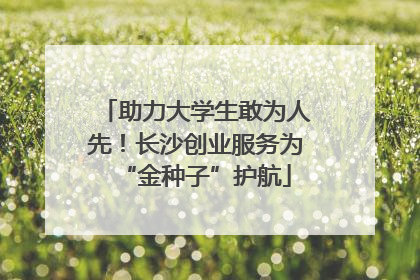 助力大学生敢为人先！长沙创业服务为“金种子”护航
