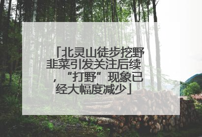 北灵山徒步挖野韭菜引发关注后续，“打野”现象已经大幅度减少