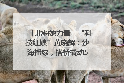 北疆她力量｜“科技红娘”黄晓辉：沙海播绿，搭桥撬动5.3亿研发
