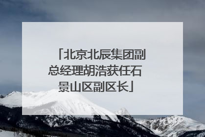 北京北辰集团副总经理胡浩获任石景山区副区长