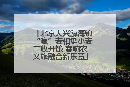 北京大兴瀛海镇“瀛”麦相承小麦丰收开镰 奏响农文旅融合新乐章