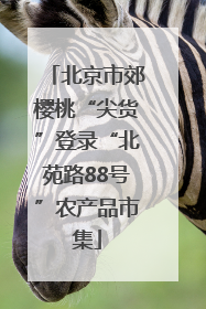 北京市郊樱桃“尖货”登录“北苑路88号”农产品市集