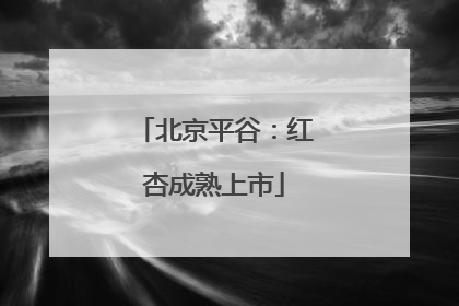 北京平谷：红杏成熟上市