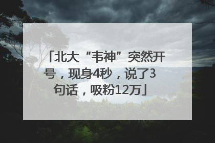 北大“韦神”突然开号，现身4秒，说了3句话，吸粉12万