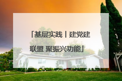 基层实践丨建党建联盟 聚振兴功能