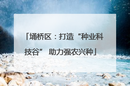 埇桥区：打造“种业科技谷” 助力强农兴种