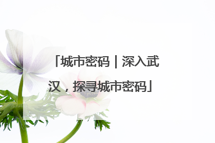 城市密码｜深入武汉，探寻城市密码