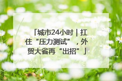城市24小时｜扛住“压力测试”，外贸大省再“出招”