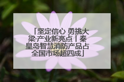 坚定信心 勇挑大梁·产业新亮点丨秦皇岛智慧消防产品占全国市场超四成