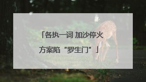 各执一词 加沙停火方案陷“罗生门”