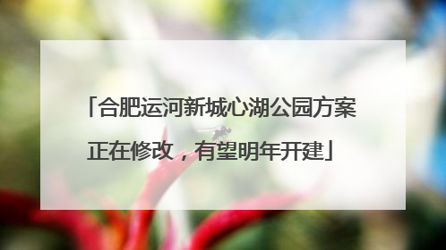合肥运河新城心湖公园方案正在修改，有望明年开建