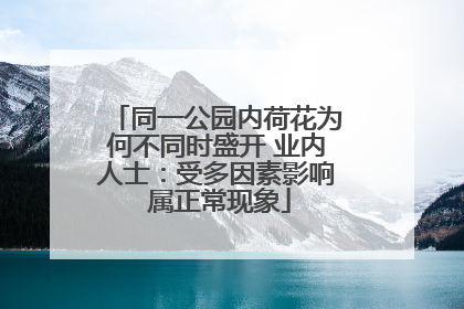 同一公园内荷花为何不同时盛开 业内人士：受多因素影响 属正常现象