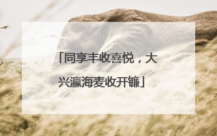 同享丰收喜悦，大兴瀛海麦收开镰