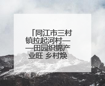 同江市三村镇拉起河村——田园织锦产业旺 乡村焕彩文明浓
