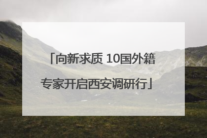 向新求质 10国外籍专家开启西安调研行