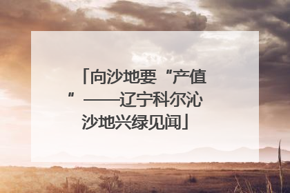 向沙地要“产值”——辽宁科尔沁沙地兴绿见闻