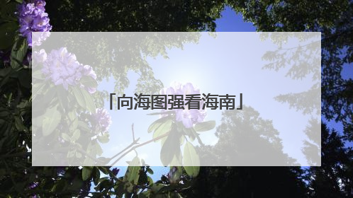 向海图强看海南