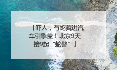 吓人，有蛇藏进汽车引擎盖！北京9天接9起“蛇警”