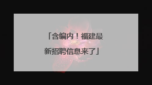 含编内！福建最新招聘信息来了