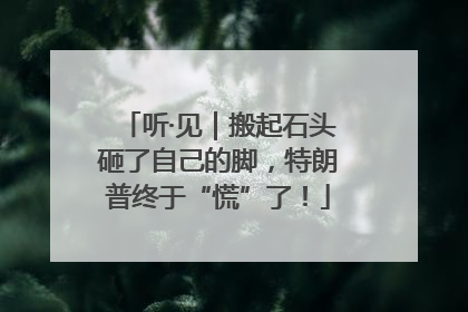 听·见｜搬起石头砸了自己的脚，特朗普终于“慌”了！