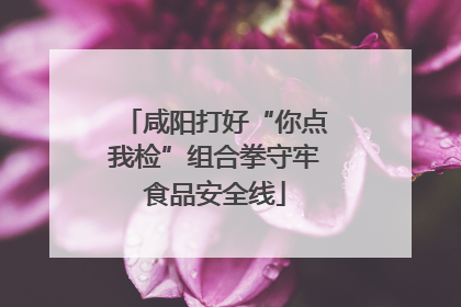 咸阳打好“你点我检”组合拳守牢食品安全线