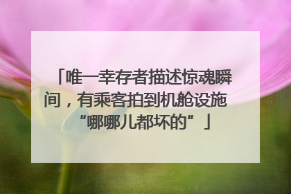 唯一幸存者描述惊魂瞬间，有乘客拍到机舱设施“哪哪儿都坏的”