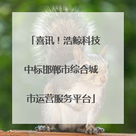 喜讯！浩鲸科技中标邯郸市综合城市运营服务平台