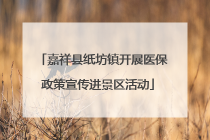 嘉祥县纸坊镇开展医保政策宣传进景区活动