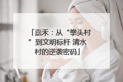 嘉禾：从“拳头村”到文明标杆 清水村的逆袭密码