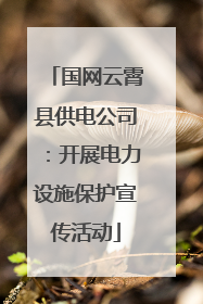 国网云霄县供电公司：开展电力设施保护宣传活动