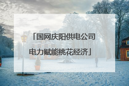 国网庆阳供电公司电力赋能桃花经济