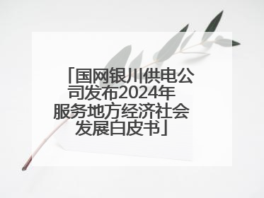 国网银川供电公司发布2024年服务地方经济社会发展白皮书