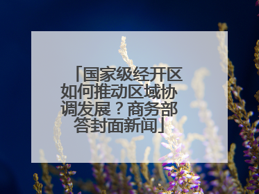 国家级经开区如何推动区域协调发展？商务部答封面新闻