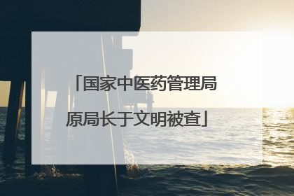 国家中医药管理局原局长于文明被查
