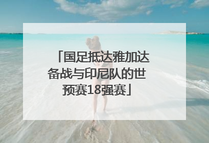 国足抵达雅加达备战与印尼队的世预赛18强赛