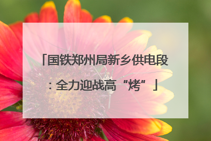 国铁郑州局新乡供电段：全力迎战高“烤”