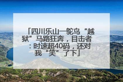 四川乐山一鸵鸟“越狱”马路狂奔，目击者：时速超40码，还对我“笑”了下