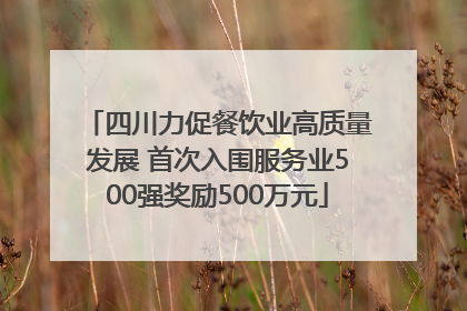 四川力促餐饮业高质量发展 首次入围服务业500强奖励500万元