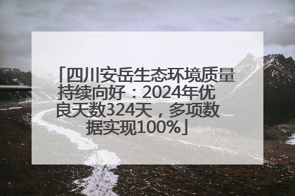 四川安岳生态环境质量持续向好：2024年优良天数324天，多项数据实现100%