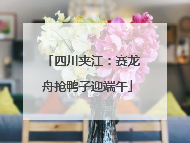 四川夹江：赛龙舟抢鸭子迎端午