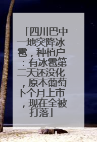 四川巴中一地突降冰雹，种植户：有冰雹第二天还没化，原本葡萄下个月上市，现在全被打落