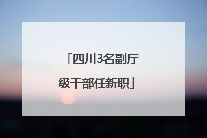 四川3名副厅级干部任新职